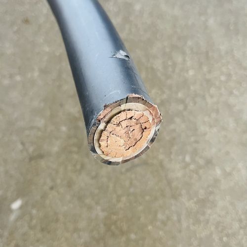 IMG_9943.jpg IMG_9943.jpg