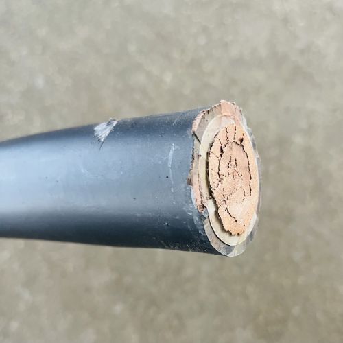 IMG_9944.jpg IMG_9944.jpg