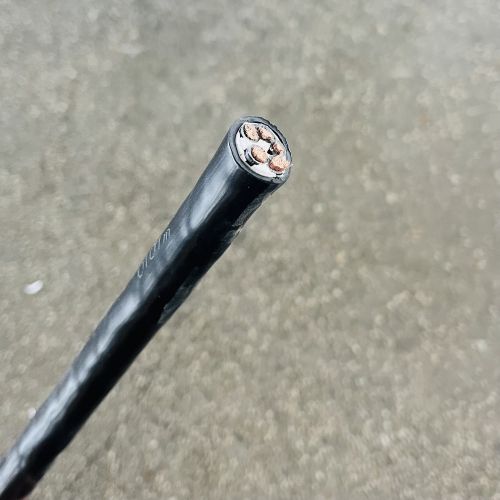 IMG_4871.jpg IMG_4871.jpg