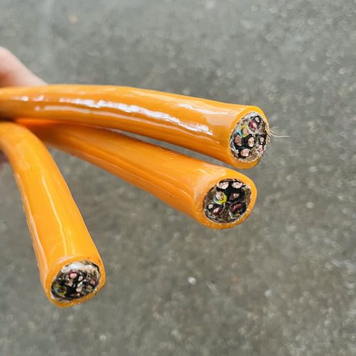 IMG_1723.jpg IMG_1723.jpg