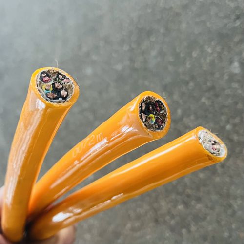 IMG_1725.jpg IMG_1725.jpg