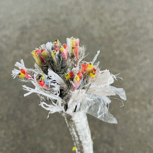 IMG_6491.jpg IMG_6491.jpg