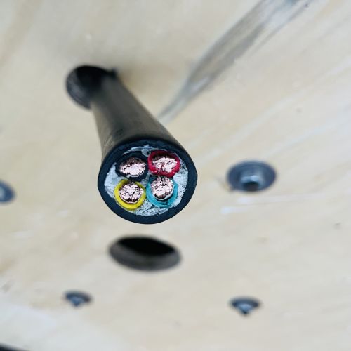 IMG_9524.jpg IMG_9524.jpg