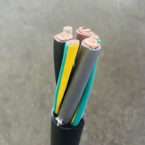 IMG_5315.jpg IMG_5315.jpg