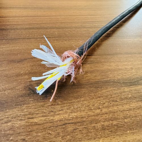 IMG_1915.jpg IMG_1915.jpg