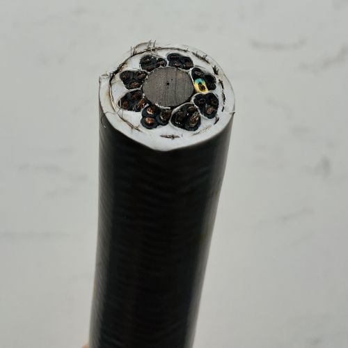 IMG_3110.jpg IMG_3110.jpg