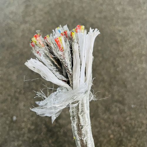 IMG_6485.jpg IMG_6485.jpg