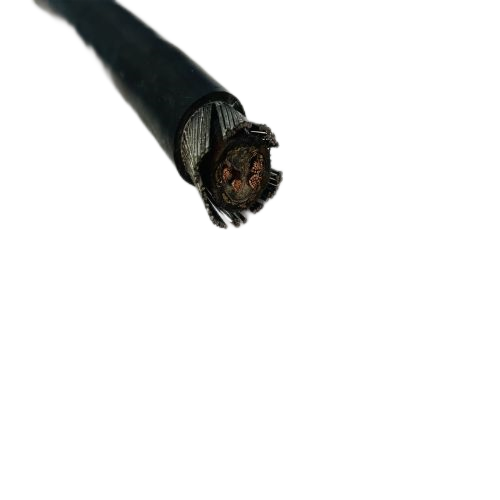 202411131220421230 202411131220421230