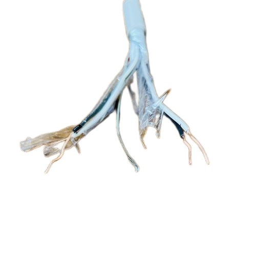 202411131224319268 202411131224319268