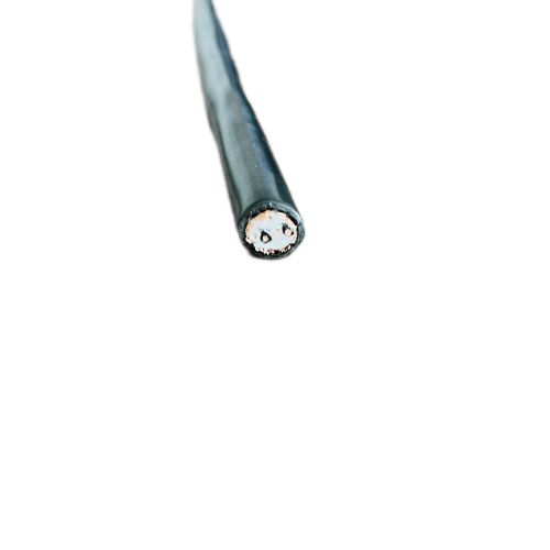 202411131446401160 202411131446401160