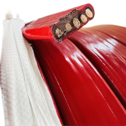 202411141501579594 202411141501579594