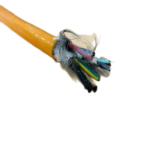 202411301019024216 202411301019024216