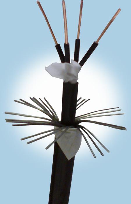 �ڲ�����Ϸ���� - ����Ϊ��,רҵ����!