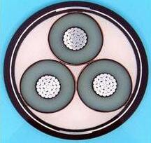 �ڲ�����Ϸ���� - ����Ϊ��,רҵ����!