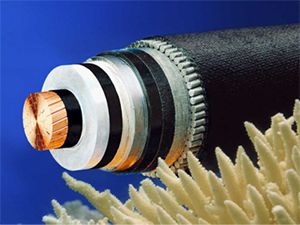 �ڲ�����Ϸ���� - ����Ϊ��,רҵ����!