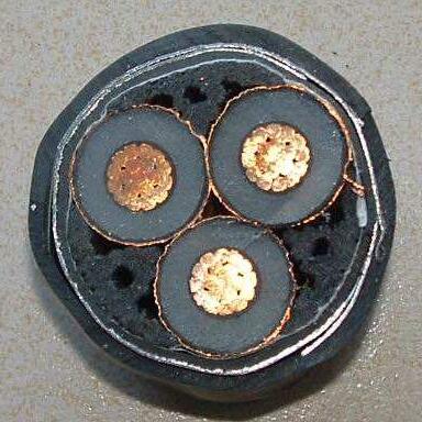 �ڲ�����Ϸ���� - ����Ϊ��,רҵ����!