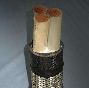 �ڲ�����Ϸ���� - ����Ϊ��,רҵ����!