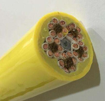 腾博汇游戏官网 - 诚信为本,专业服务!