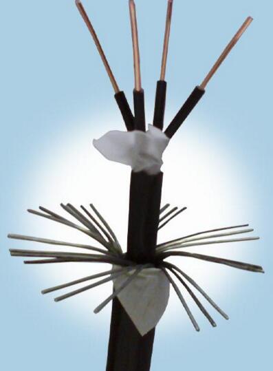 腾博汇游戏官网 - 诚信为本,专业服务!