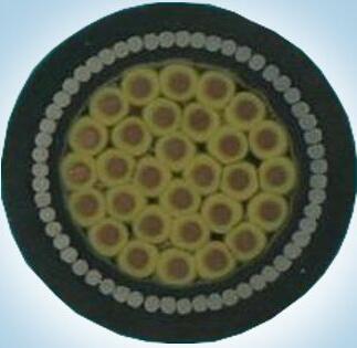 腾博汇游戏官网 - 诚信为本,专业服务!