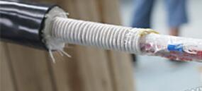 腾博汇游戏官网 - 诚信为本,专业服务!