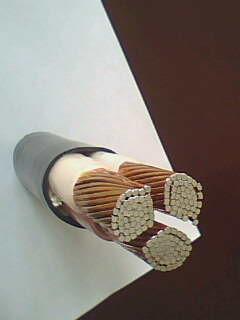 �ڲ�����Ϸ���� - ����Ϊ��,רҵ����!