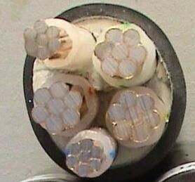 �ڲ�����Ϸ���� - ����Ϊ��,רҵ����!