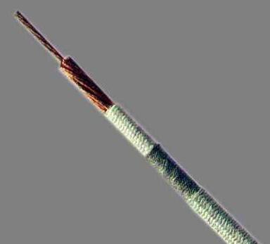 �ڲ�����Ϸ���� - ����Ϊ��,רҵ����!