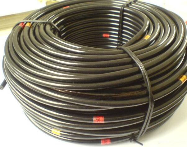 �ڲ�����Ϸ���� - ����Ϊ��,רҵ����!