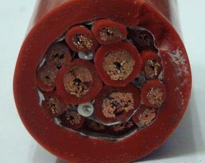 腾博汇游戏官网 - 诚信为本,专业服务!