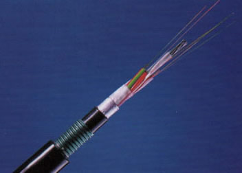 �ڲ�����Ϸ���� - ����Ϊ��,רҵ����!