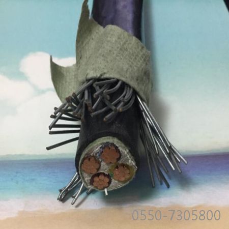 腾博汇游戏官网 - 诚信为本,专业服务!