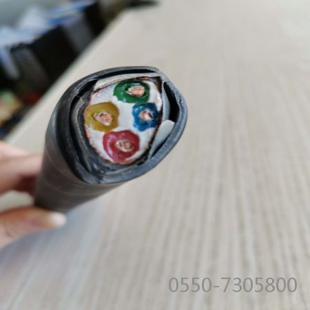 腾博汇游戏官网 - 诚信为本,专业服务!