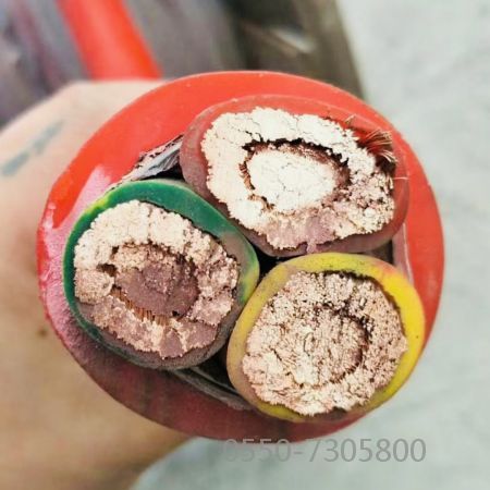 腾博汇游戏官网 - 诚信为本,专业服务!