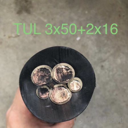 腾博汇游戏官网 - 诚信为本,专业服务!