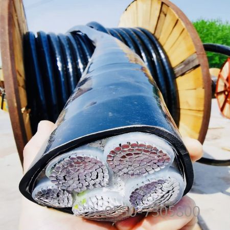 腾博汇游戏官网 - 诚信为本,专业服务!