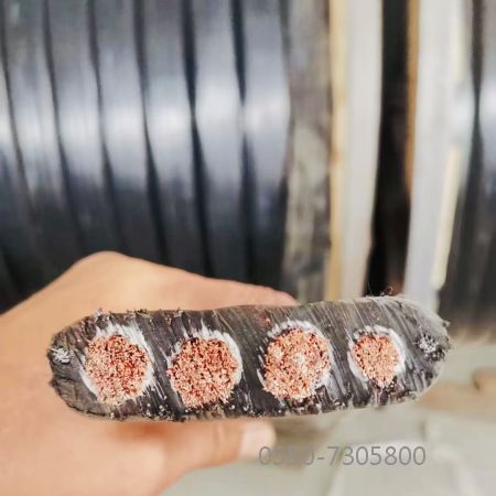 腾博汇游戏官网 - 诚信为本,专业服务!