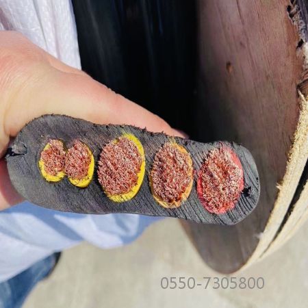 腾博汇游戏官网 - 诚信为本,专业服务!