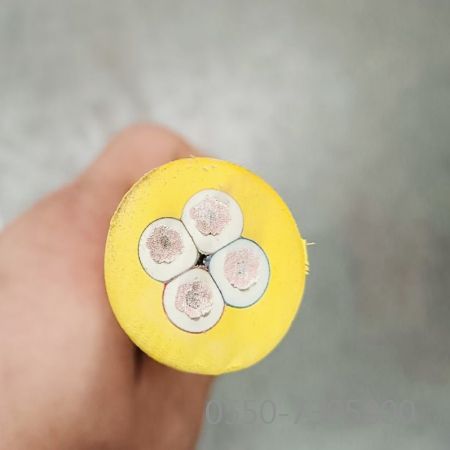 腾博汇游戏官网 - 诚信为本,专业服务!