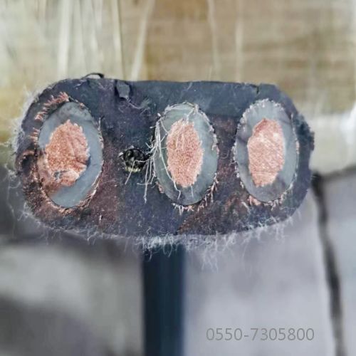 腾博汇游戏官网 - 诚信为本,专业服务!