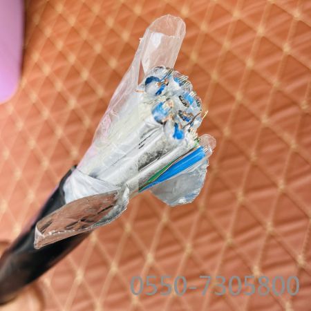 �ڲ�����Ϸ���� - ����Ϊ��,רҵ����!