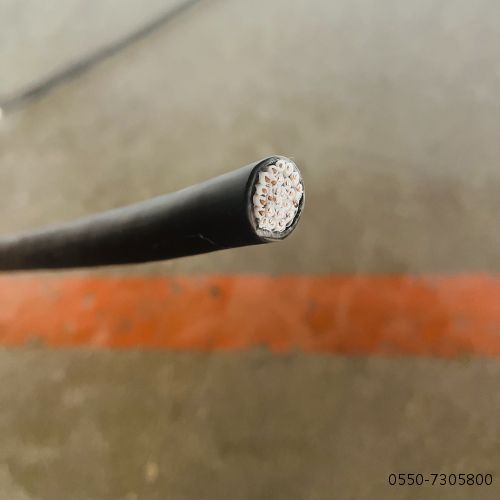 腾博汇游戏官网 - 诚信为本,专业服务!