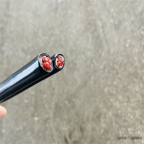 腾博汇游戏官网 - 诚信为本,专业服务!