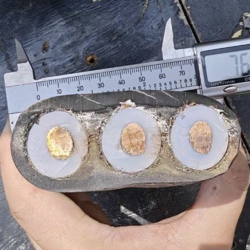 腾博汇游戏官网 - 诚信为本,专业服务!