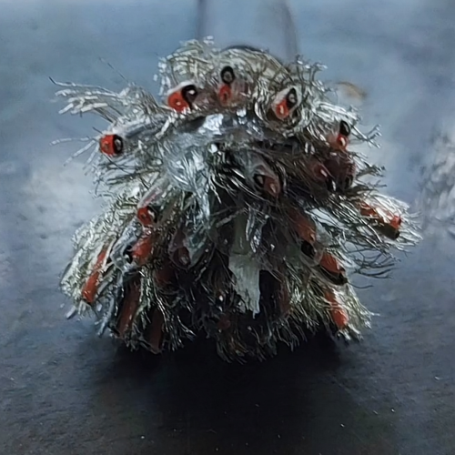 腾博汇游戏官网 - 诚信为本,专业服务!