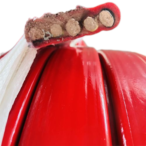 腾博汇游戏官网 - 诚信为本,专业服务!