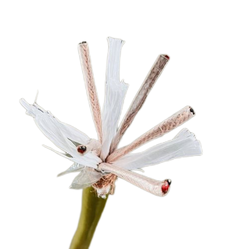 腾博汇游戏官网 - 诚信为本,专业服务!