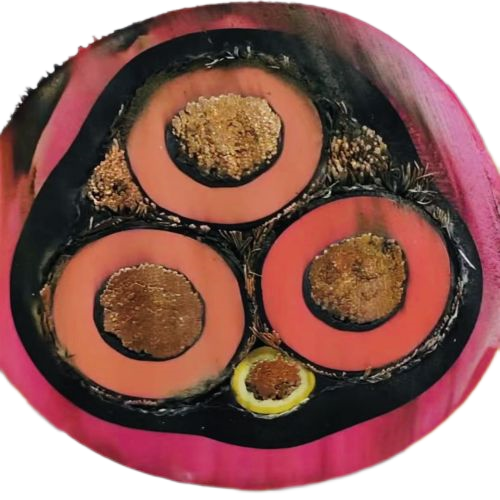 腾博汇游戏官网 - 诚信为本,专业服务!