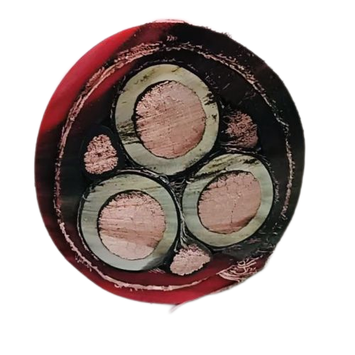 腾博汇游戏官网 - 诚信为本,专业服务!