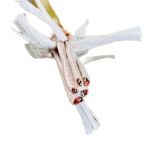 腾博汇游戏官网 - 诚信为本,专业服务!